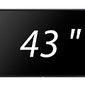 43" телевизоры (проф) 43" телевизоры (проф)