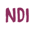 Конвертеры NDI Конвертеры NDI