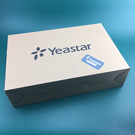 Yeastar NeoGate TA2400 , ip шлюз , 24*FXS