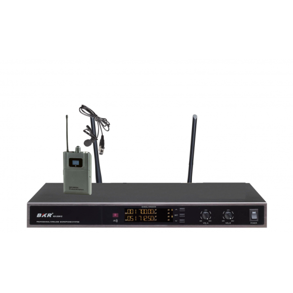 Радиомикрофоны BKR KX-D3912 (два петличных) Радиомикрофоны BKR KX-D3912 (два петличных)