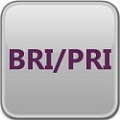 Цифровые шлюзы (BRI, PRI) Цифровые шлюзы (BRI, PRI)