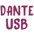 Конвертеры DANTE-USB Конвертеры DANTE-USB